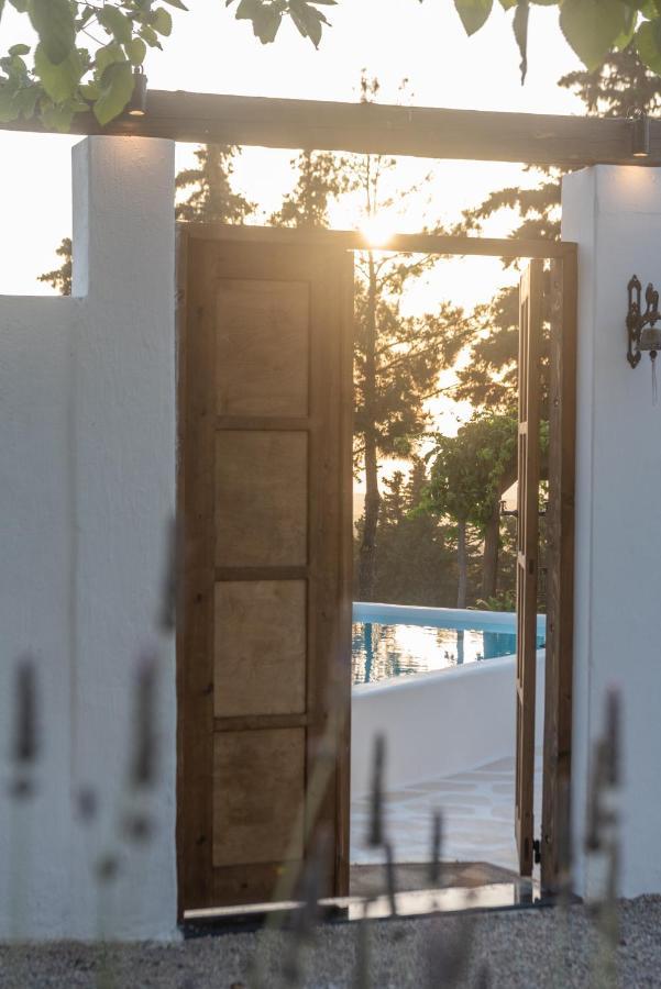 Tramonto Villa Lagoudi Zia Dış mekan fotoğraf